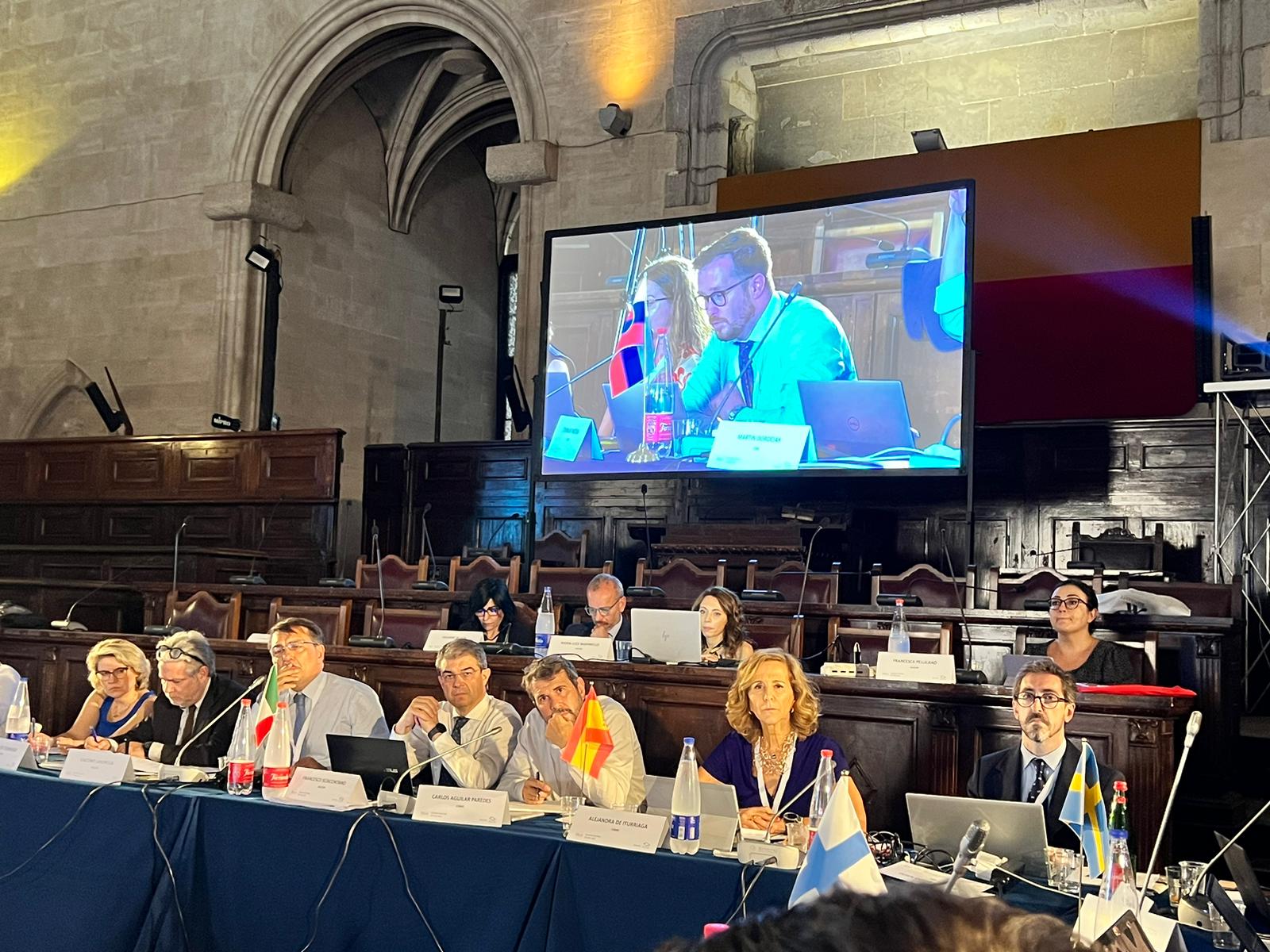 plenarne_zasadnutie_ERGA2